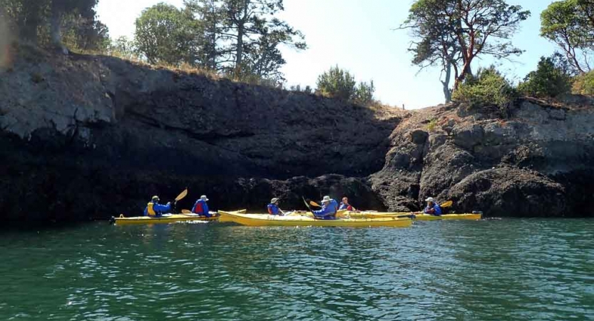 a group of kayakers paddle beside a tall rock wall on green water